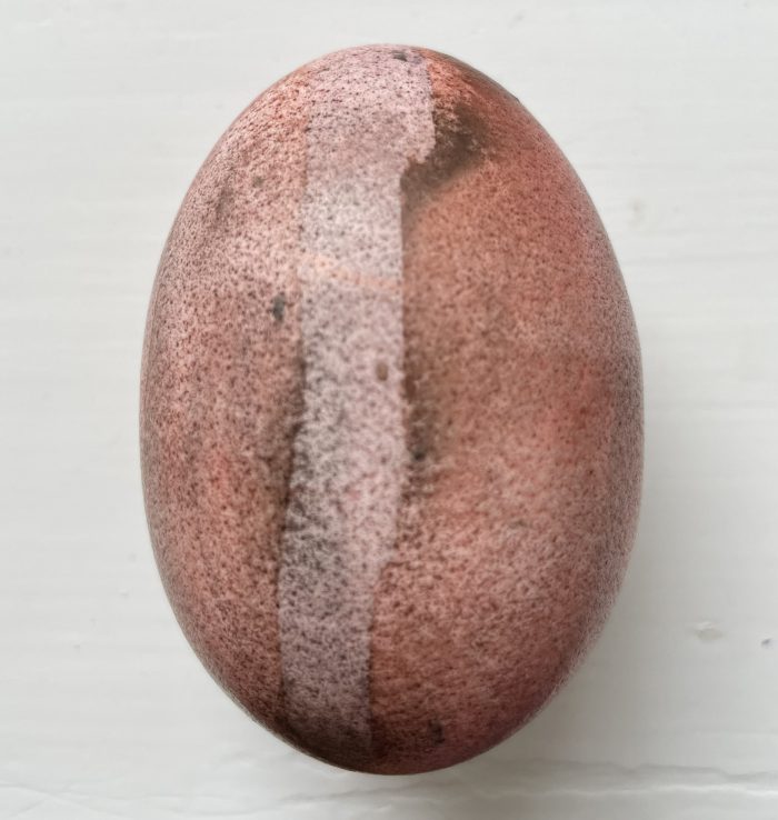29423-jessica-braun-temple-egg-smoked-2024-jfb