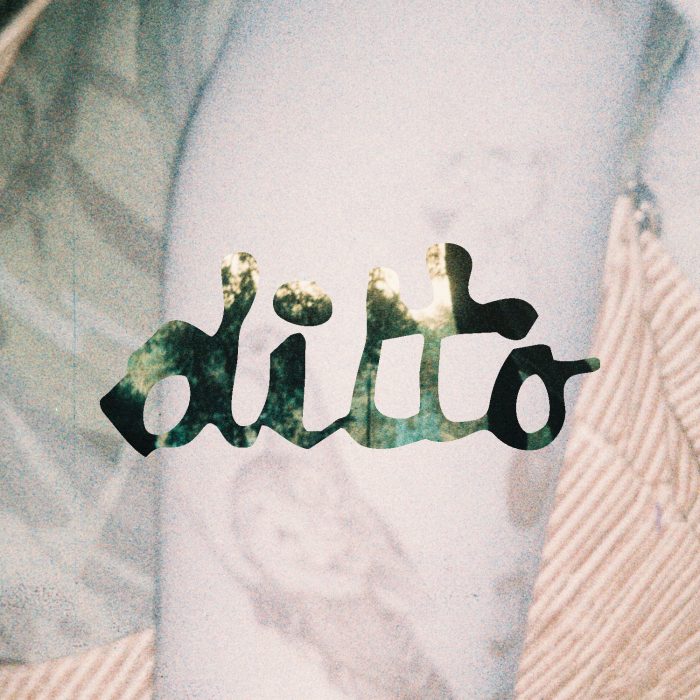 30341-abby-hoffman-new-ditto-logo-jfb